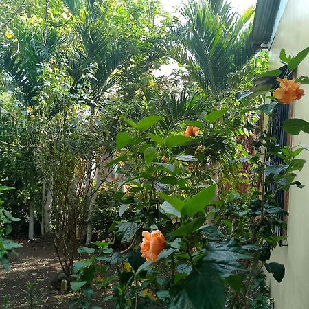 The Malinche Hostal Rivas Exterior foto